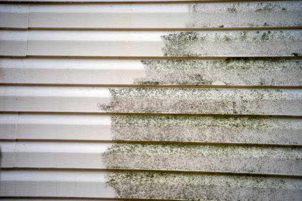 Best Yard Waste Removal  in Baraga, MI