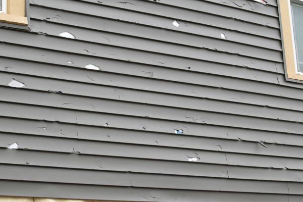 Best Carpet Removal and Disposal  in Baraga, MI